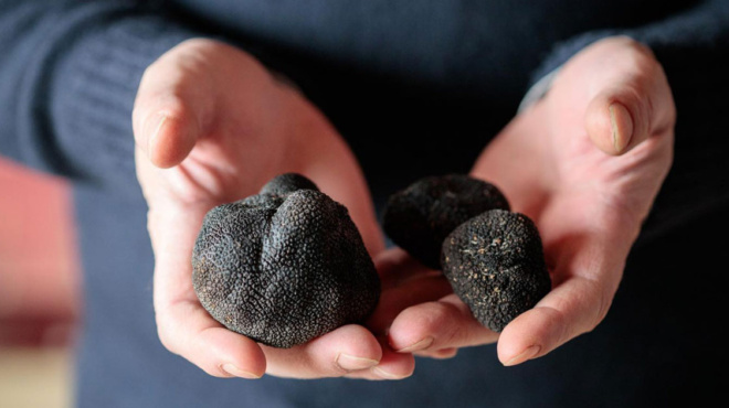 σιδηρόνερο-η-οικογένεια-γρηγοριάδη-κ-187665