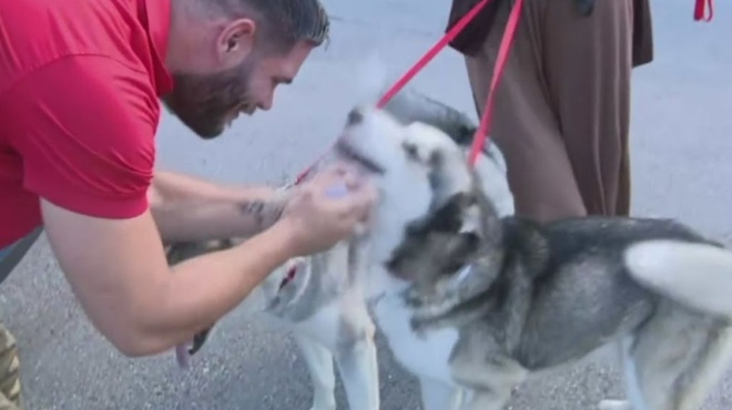 δακρύζει-όλο-το-ίντερνετ-άνδρας-βρίσκ-185278