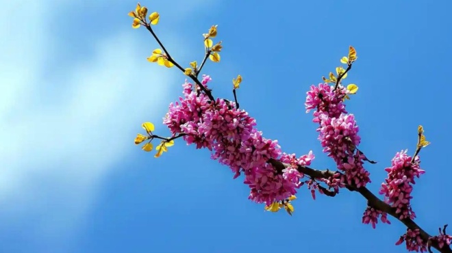 τάσος-αρνιακός-ο-καιρός-τη-μεγάλη-εβδο-188978