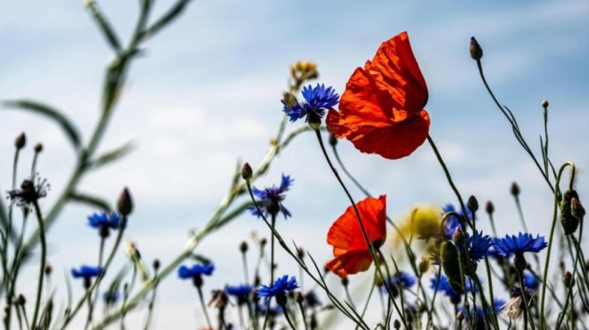 τι-καιρό-δείχνουν-τα-μερομήνια-για-τ-185661