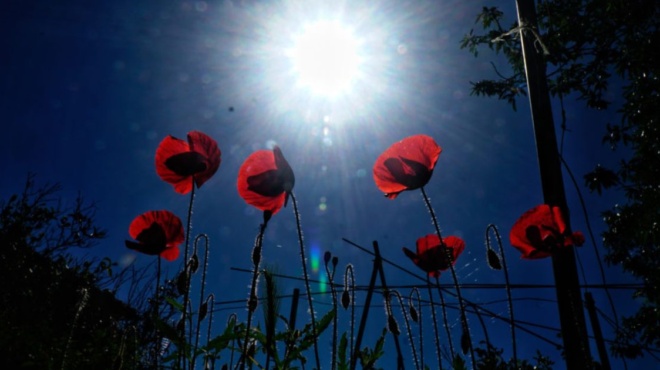 τσατραφύλλιας-μας-τα-χαλάει-ο-καιρός-189695