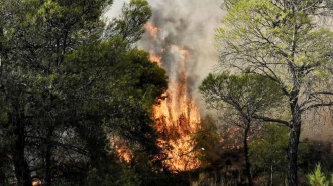 φωτιά-τώρα-σε-δασική-έκταση-στο-λουτρά-191213