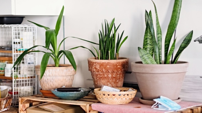 τα-έχουμε-όλοι-στο-σπίτι-μας-όμως-αυτά-193539