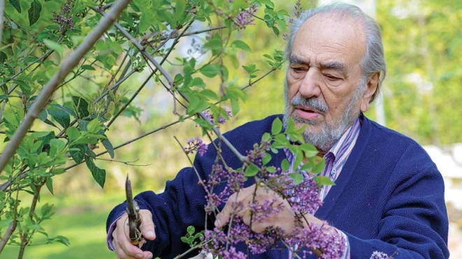 ευχάριστα-νέα-για-τον-δημήτρη-καλλιβω-190157