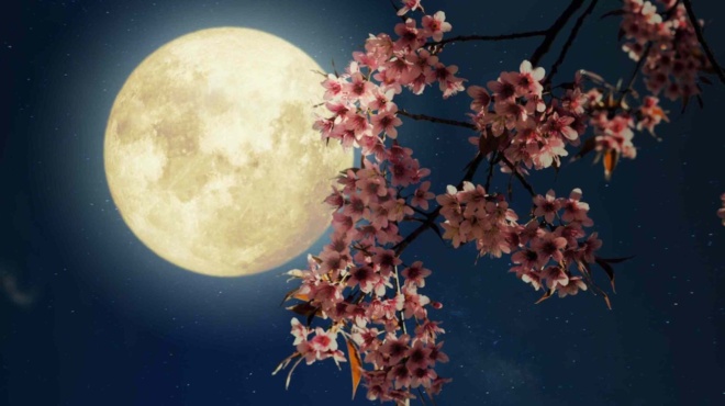 πανσέληνος-του-λουλουδιού-πως-πήρε-το-193535