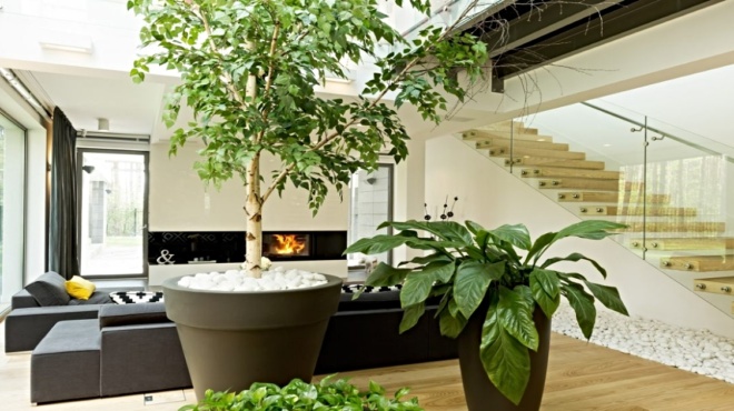 πετάξτε-το-να-είστε-ήσυχοι-αυτό-είναι-τ-195938