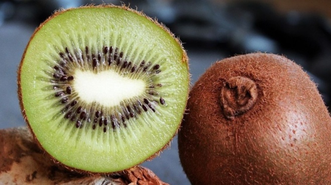 το-ελληνικό-ακτινίδιο-ανθεκτικότητα-191533