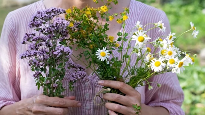 ζώδια-οι-4-εκπρόσωποι-του-ζωδιακού-που-194038