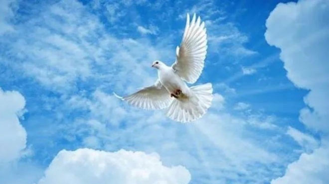 αγίου-πνεύματος-2024-τι-αλλάζει-για-κατασ-201867