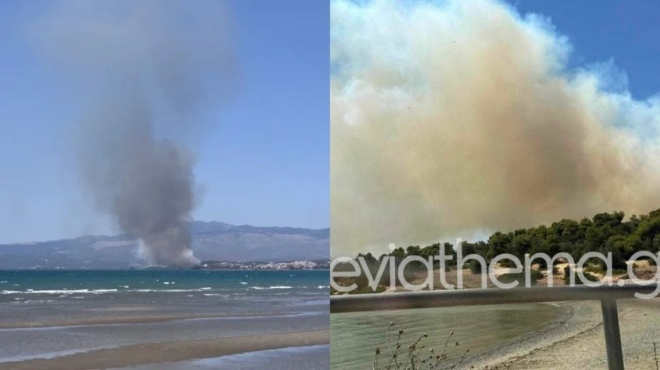 φωτιά-τώρα-σφοδρή-πυρκαγιά-στη-νέα-αρτ-202295