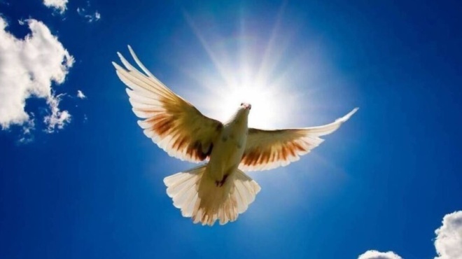 γιορτή-του-αγίου-πνεύματος-2024-τι-πρέπει-199750