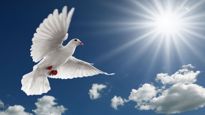 αργία-αγίου-πνεύματος-πώς-θα-λειτουργ-201632