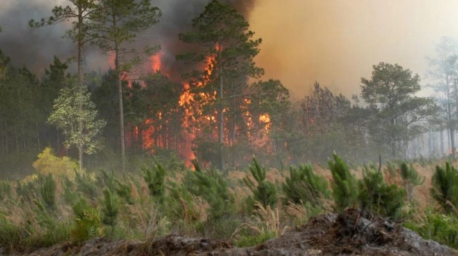 μεγάλη-φωτιά-τώρα-στην-πάρνηθα-τεράστ-203075