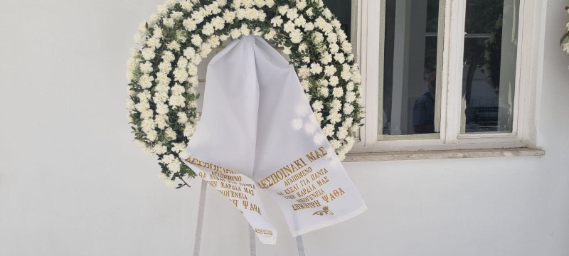 Δέσποινα Στυλιανοπούλου