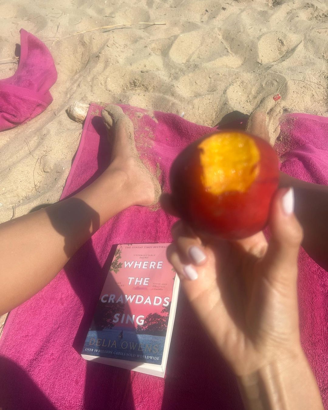 Άννα Πρέλεβιτς