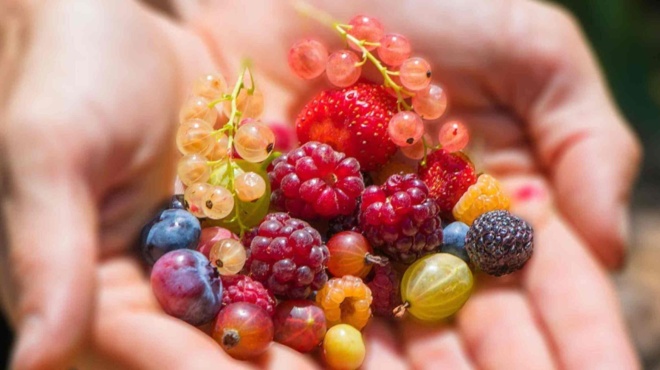 καίει-το-λίπος-χωρίς-κόπο-το-ξεχασμένο-205790