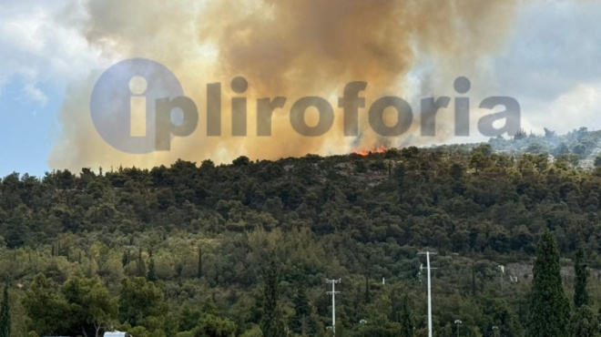 έκτακτο-επικίνδυνη-φωτιά-τώρα-στα-γλυ-204058