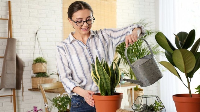 πολλοί-άνθρωποι-καλλιεργούν-το-λεφτό-204485