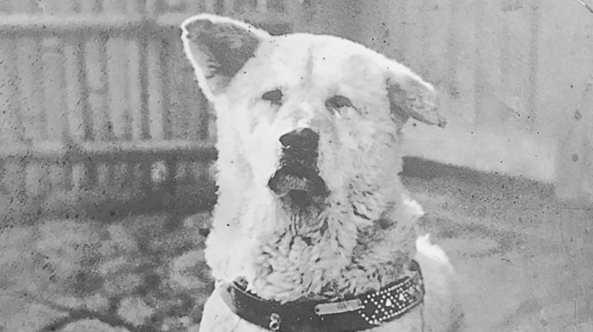 o-χάτσικο-της-πτολεμαΐδας-η-μένια-δεν-207320