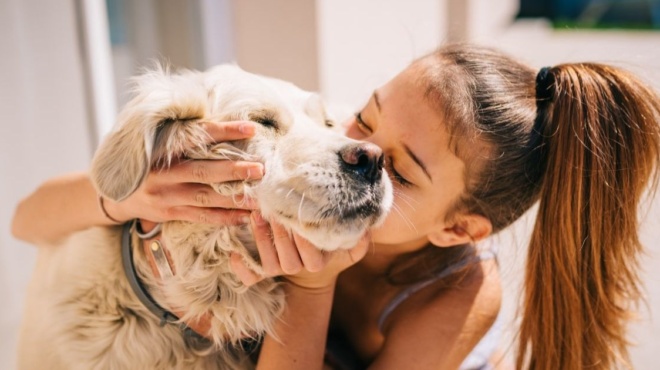 η-απώλεια-ενός-σκύλου-πληγώνει-όσο-κι-η-206897