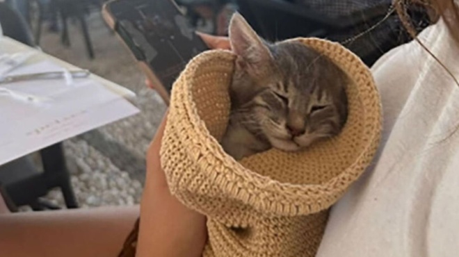 τουρίστρια-στις-σπέτσες-βούτηξε-στο-λ-208136