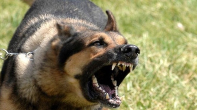 παρολίγον-τραγωδία-στην-θεσσαλονίκη-221371