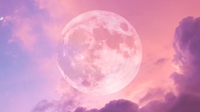 υπάρχει-λόγος-τα-4-ζώδια-που-είναι-πιο-π-226086