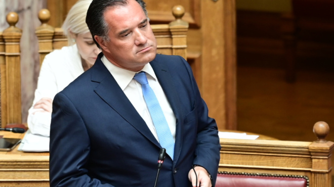 γεωργιάδης-για-τα-περιστατικά-με-ασαν-236691