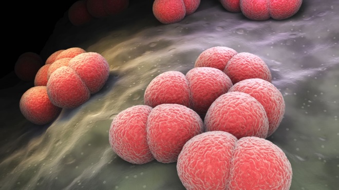 βακτηριακή-μηνιγγίτιδα-τα-ύποπτα-σ-238031