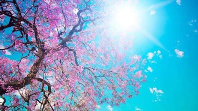 καιρός-προειδοποιήση-τσατραφύλλια-γ-241647