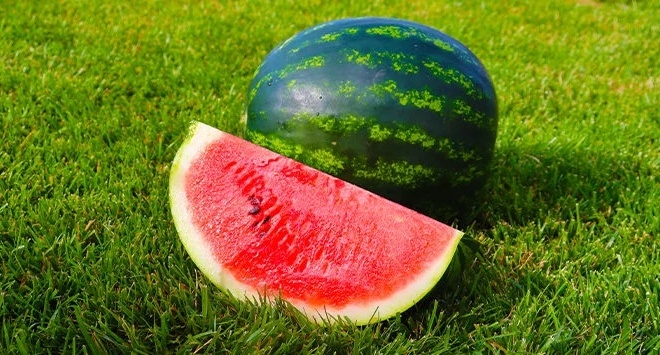 αν-δείτε-αυτό-το-σημάδι-στο-καρπούζι-σα-252001