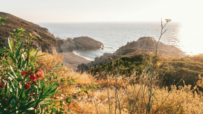 το-superfood-που-τρώνε-στην-ικαρία-και-ζούνε-100-χ-252384