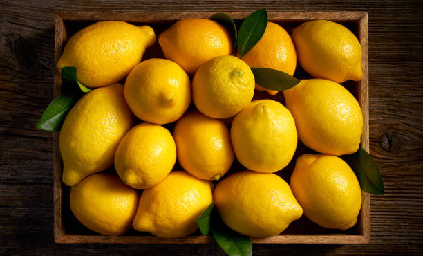 πώς-να-διατηρήσετε-τα-λεμόνια-φρέσκα-γ-252377