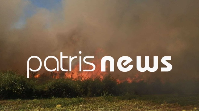 ξέσπασε-νέα-πυρκαγιά-μεγάλη-μάχη-της-π-256171