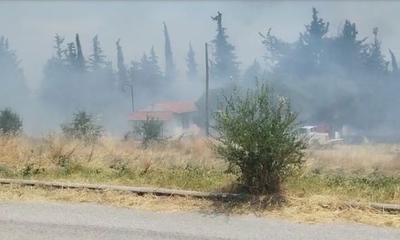 μεγάλη-φωτιά-τώρα-δίπλα-σε-σπίτια-επιχ-255132