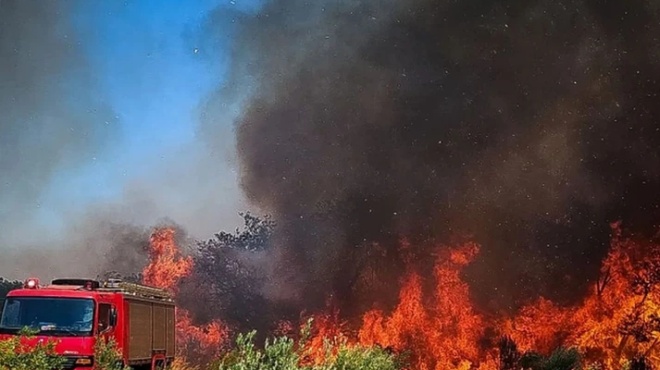 φωτιά-τώρα-στην-εύβοια-καίει-κοντά-σε-σ-254785