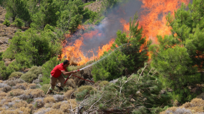 εκτακτο-μεγάλη-φωτιά-τώρα-στην-ελλάδα-257664