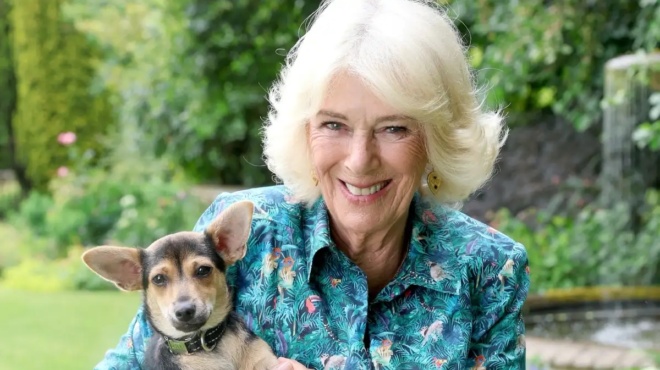 χρυσές-διακοπές-στην-ελλάδα-για-τη-β-257330