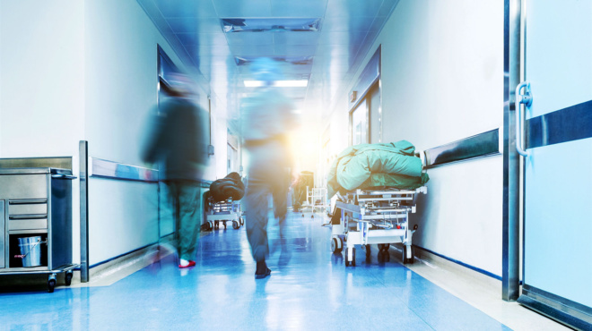 ο-candida-auris-σαρώνει-τα-ελληνικά-νοσοκομεία-η-260534