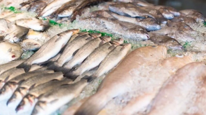 ούτε-τόνος-ούτε-σολομός-το-ψάρι-που-μπ-259697