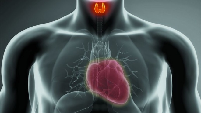 η-απλή-κίνηση-που-μειώνει-κατά-20-τον-κίν-259406